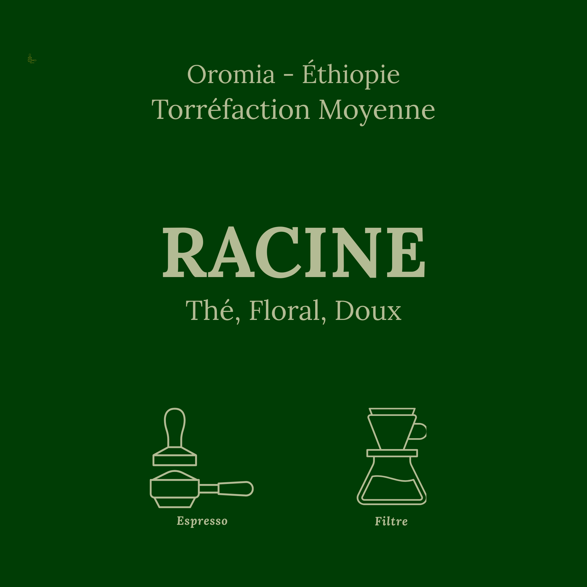 Carte produit verte Racine de Le Petit Roast, café éthiopien torréfaction moyenne pour espresso et filtre avec notes thé et florales
